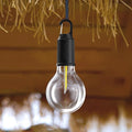 Unbreakable Rechargeable Hanging Bulb (RA-138)